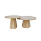 TORI SET OF 2 COFFEE TABLES  ACACIA WOOD TOPS AND LEGS
