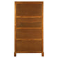 PARIS SOLID MAHOGANY TIMBER MIRRORED BACK DISPLAY CABINET WITH 3 SHELVES - LIGHT PECAN - MyChocolateWood