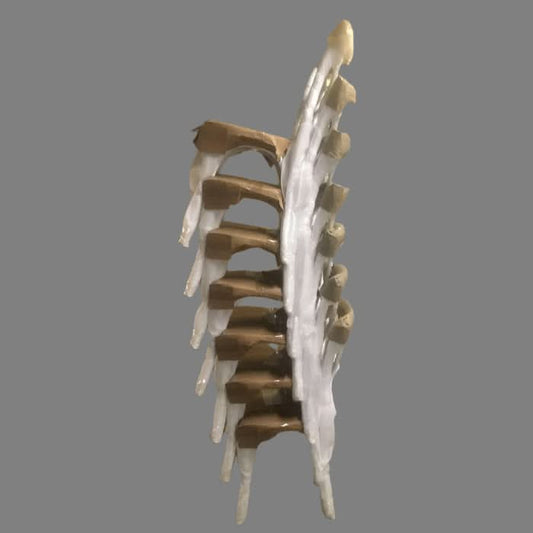 MOFTAK STACKABLE FRENCH PROVINCIAL CROSSBACK DINING CHAIR BLACK BIRCH/RATTAN - MyChocolateWood