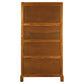PARIS SOLID MAHOGANY TIMBER MIRRORED BACK DISPLAY CABINET WITH 3 SHELVES - LIGHT PECAN - MyChocolateWood