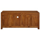 PARIS SOLID MAHOGANY TV UNIT WITH 2 DRAWERS IN LIGHT PECAN 120CM - MyChocolateWood
