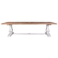 RECANATI RECLAIMED ELM TIMBER DINING TABLE/ WHITE LEGS 300CM - MyChocolateWood