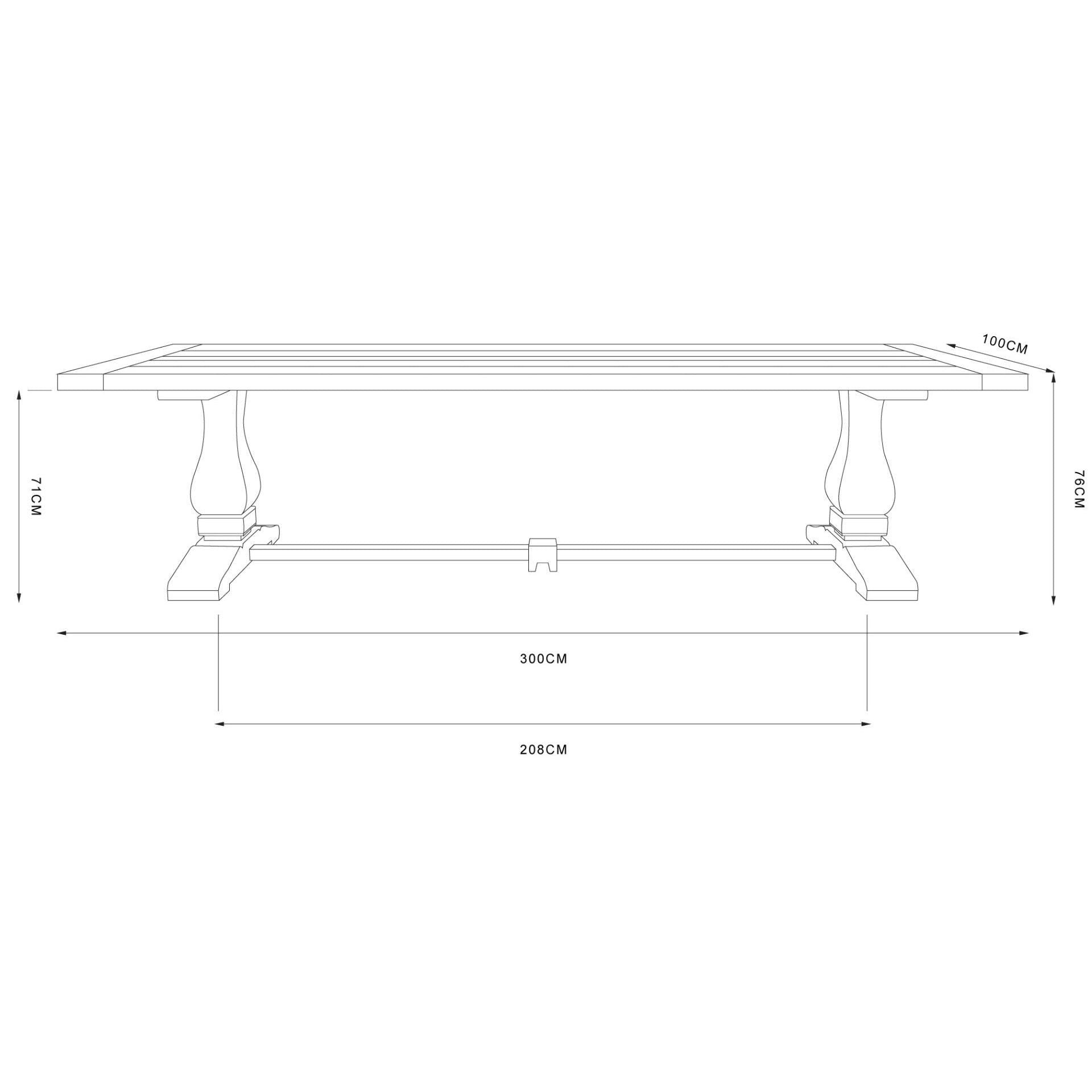 RECANATI RECLAIMED ELM TIMBER DINING TABLE/ WHITE LEGS 300CM - MyChocolateWood