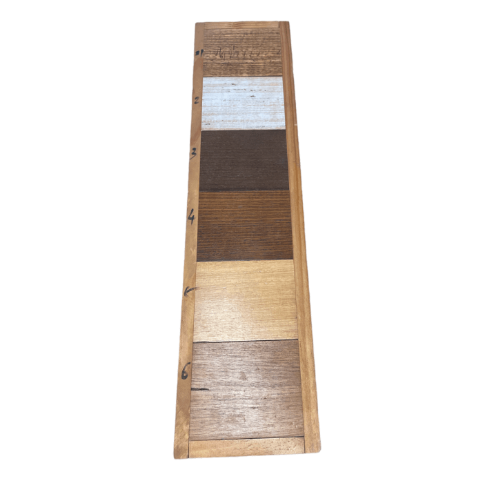 TASSIE OAK CUSTOM MADE LEONARD BOOLCASE WITH 2 DOORS