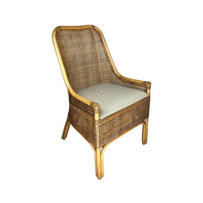 MALIBU HAMPTONS RATTAN DINING CHAIR IN NATURAL OLIVE WITH CUSHION